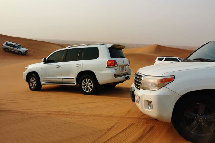 Evening VIP Desert Safari